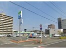 ファミリーマート徳島沖浜三丁目店(コンビニ)まで524m 牟岐線/二軒屋駅 徒歩11分 2階 築2年