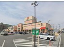 ハローズ佐古店(スーパー)まで1184m Kクレスト西新町