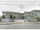 国立鳴門教育大学学校教育学部附属小学校(小学校)まで882m※国立鳴門教育大学学校教育学部附属小学校 高徳線/徳島駅 徒歩27分 1階 1年未満