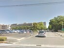 国立徳島大学総合科学部(大学/短大/専門学校)まで1162m 高徳線/徳島駅 徒歩21分 5階 築33年