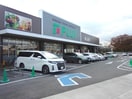 フジ中吉野店(スーパー)まで1245m※フジ中吉野食品店 徳島線/徳島駅 徒歩30分 3階 建築中