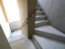 非常階段 徳島線/徳島駅 徒歩25分 8階 築2年