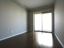  徳島線/徳島駅 徒歩25分 8階 築2年