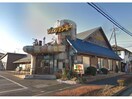 びっくりドンキー船橋芝山店(その他飲食（ファミレスなど）)まで311m 新京成電鉄新京成線/高根木戸駅 徒歩10分 1階 築22年