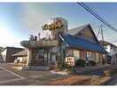びっくりドンキー船橋芝山店(その他飲食（ファミレスなど）)まで311m エクセルシオール芝山