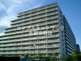白井ロジュマン
