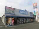 ウエルシア船橋金杉店(ドラッグストア)まで1432m 京成松戸線/滝不動駅 徒歩2分 1階 築29年