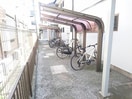  レーベン林