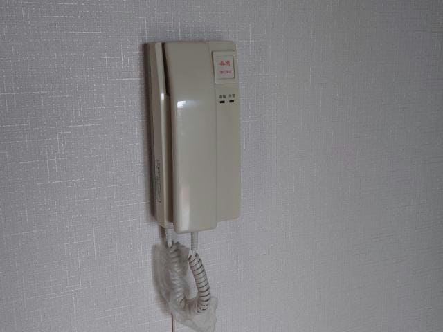  アロー芝山