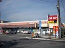 コープ薬円台店(スーパー)まで372m 京成松戸線/薬園台駅 徒歩6分 4階 築22年