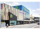 マミーマート飯山満駅前店(スーパー)まで830m 東葉高速鉄道/飯山満駅 徒歩18分 2階 築38年