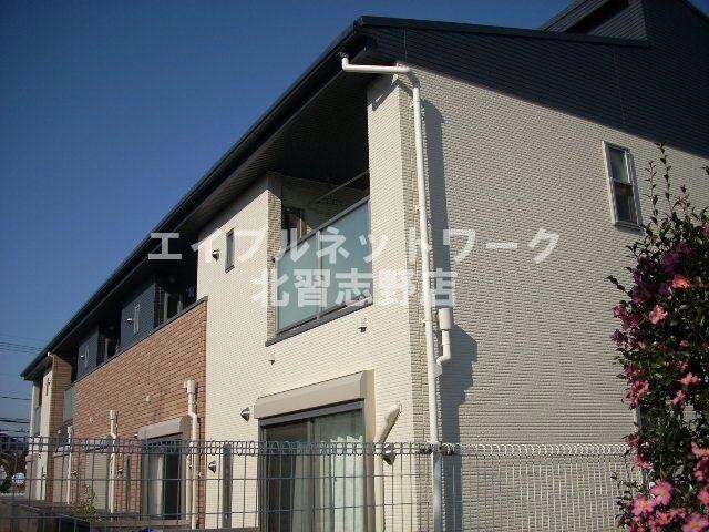  フィオリスタ