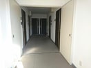  東葉高速鉄道/北習志野駅 徒歩12分 1階 築15年