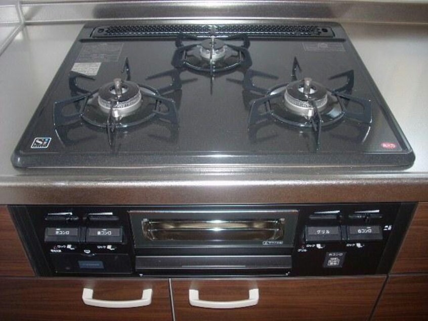  習志野2丁目貸家　F棟