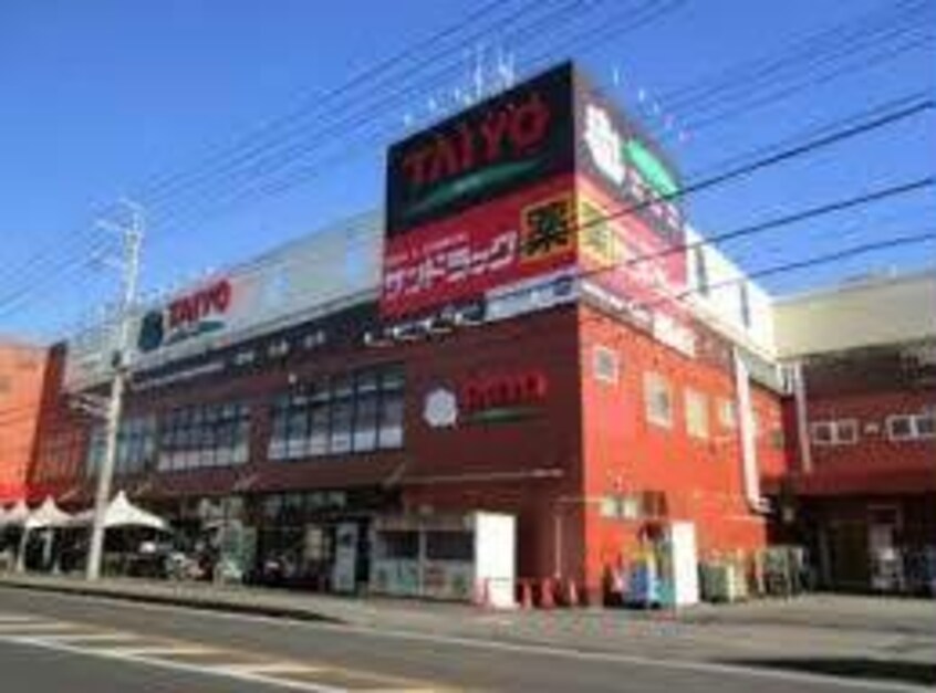 スーパータイヨー八千代店(スーパー)まで724m Papirusa（ﾊﾟﾋﾟﾙｰｻ）