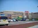 イオン八千代緑が丘店(スーパー)まで1329m 東葉高速鉄道/八千代緑が丘駅 徒歩17分 2階 築8年