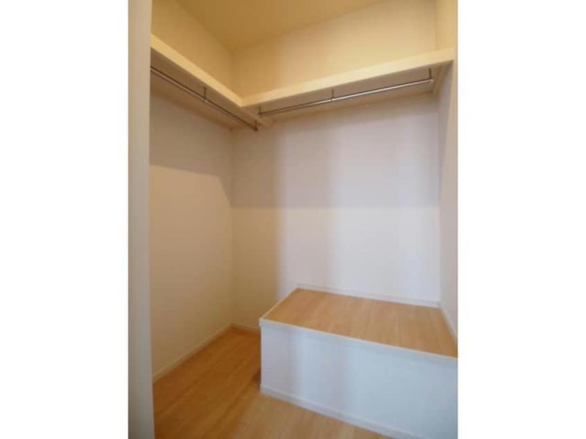  オリーブ テラス