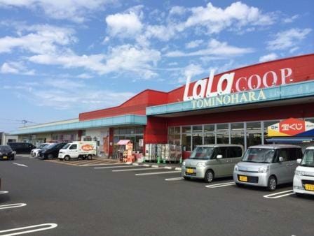 ララコープLaLa富の原(スーパー)まで335m フロンティア