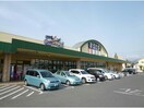 まるたか生鮮市場富の原(スーパー)まで530m メルベーユ富の原F棟