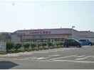 ファッションセンターしまむら大村北店(ショッピングセンター/アウトレットモール)まで440m バリュージュ古賀島