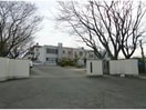 大村市立桜が原中学校(中学校/中等教育学校)まで432m サニーフラットⅡ
