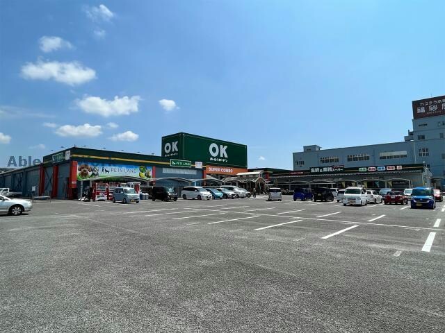 OKホーム＆ガーデン大村店(電気量販店/ホームセンター)まで1101m ファミーユＫ