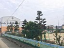 認定こども園昊天宮保育園(幼稚園/保育園)まで1201m ウィルモア黒田B棟