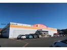 DiREX木場店(ディスカウントショップ)まで600m ウィット須田ノ木