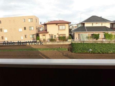  エレガンス松並