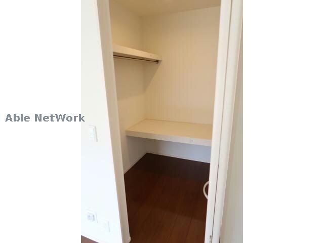  ウィットシバタ