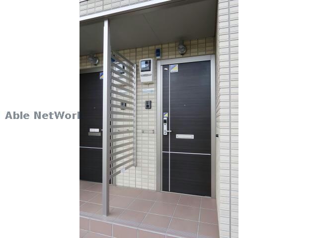  ウィットシバタ