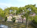 久原公園(公園)まで766m ドミール久原