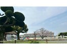 大村市立竹松小学校(小学校)まで731m プラシードヒルⅥ