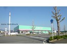 ディスカウントドラッグコスモス大村店(ドラッグストア)まで292m 協和町渕戸建