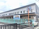 新城保育園(幼稚園/保育園)まで711m カーサリーガル　A