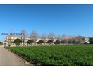 大村市立富の原小学校(小学校)まで1306m ホームズ原口
