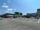 OKホーム＆ガーデンスーパーコンボ大村店(電気量販店/ホームセンター)まで1130m ベル　フルリールリノア