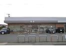 セブンイレブン大村松並1丁目店(コンビニ)まで732m ウィンディ大村