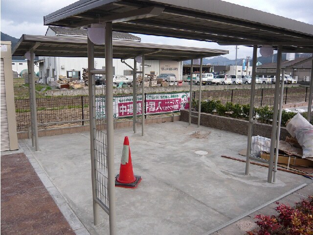  ルピナス　ネオコート