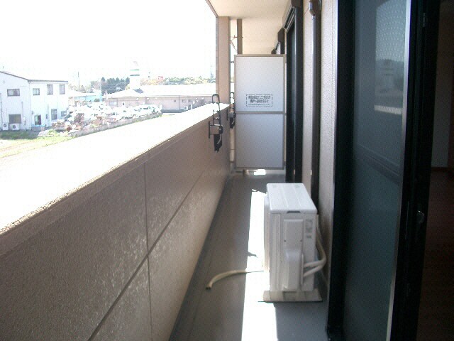  ルピナス　ネオコート