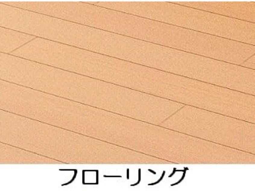  ミニョン　プラス1