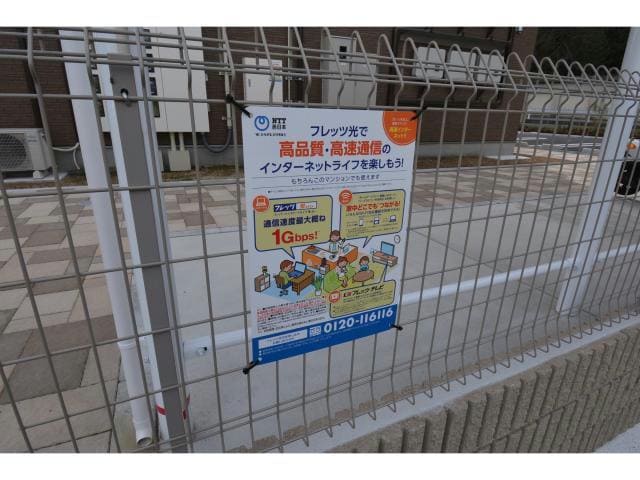  フロール・デ・セレッソⅡ