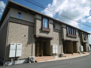 シーイーノ　II