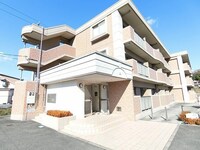 ゴールドクレスト