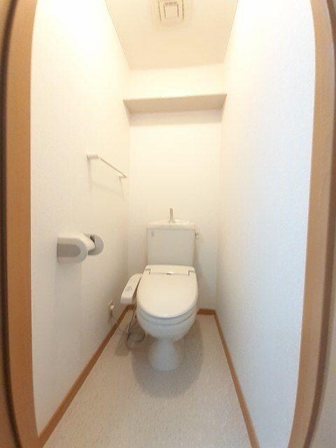  ゴールドクレスト