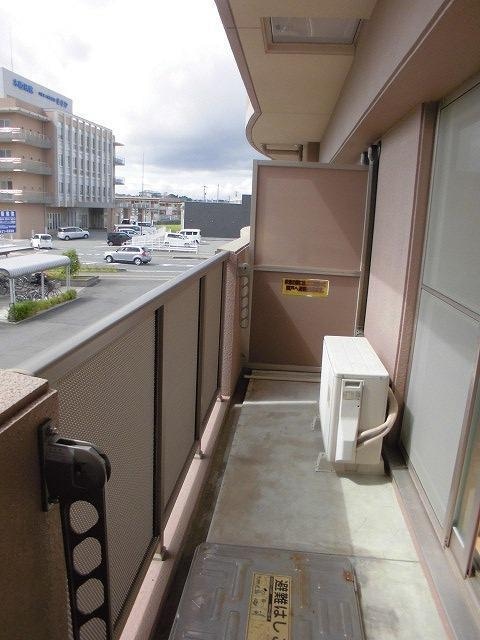  ゴールドクレスト