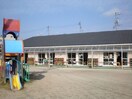 あい保育園西条中央(幼稚園/保育園)まで290m レオーノ