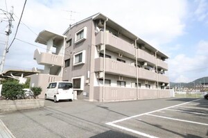 サンフラワー