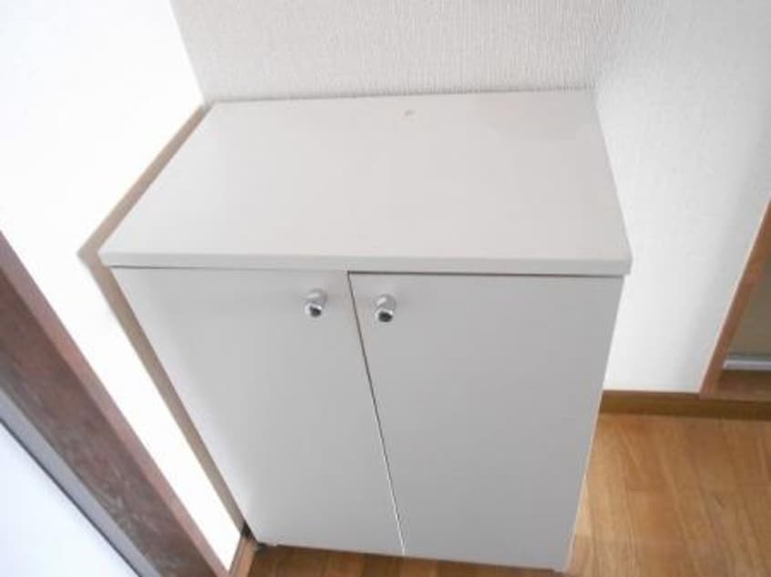 シューズボックス ヤングユーカリＡ