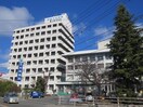 西条中央病院(病院)まで569m ディアム・コーセイ
